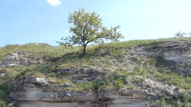 Рыбалка в Николаеве Прогулка у Варваровского моста смотреть онлайн