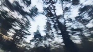 Жека Кто-Там - Ночь