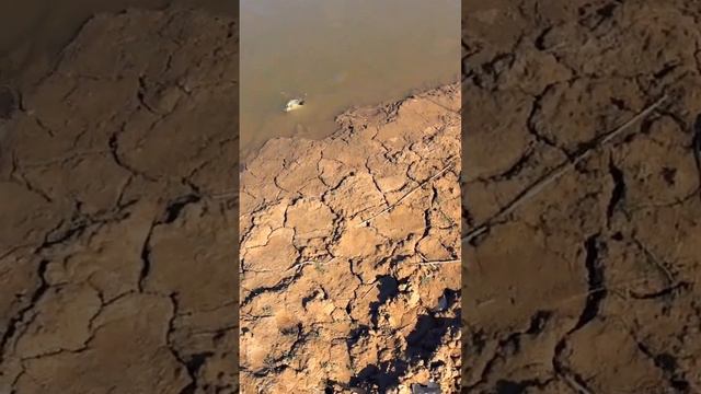 Рыбалка на донку!Ловля карася на донку! смотреть онлайн