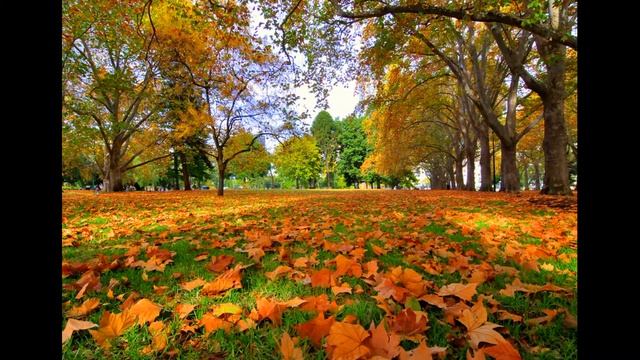 #Рисумейка Осенний букет смотреть онлайн