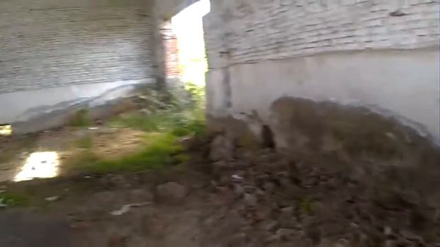 Обзор - поход ( сталк ) по Салаиру и его окрестностям. # 3 - Г.О.К. смотреть онлайн