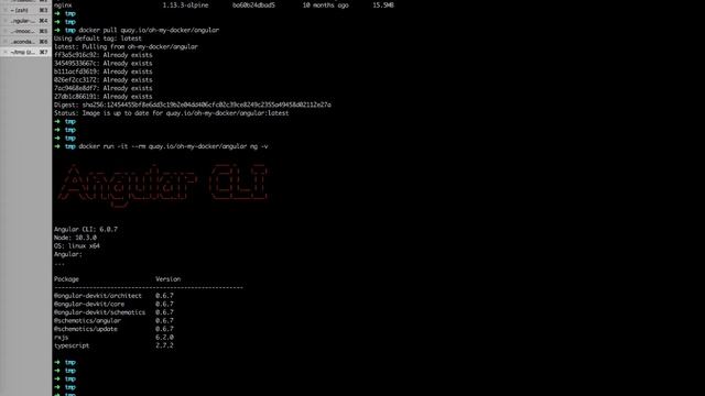 Oh My Docker: Play with Angular without installing Node.js and NG CLI смотреть онлайн