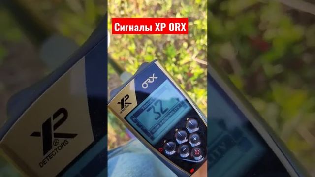 Секреты копа, сигналы XP ORX. Металлоискатель XP ORX. смотреть онлайн