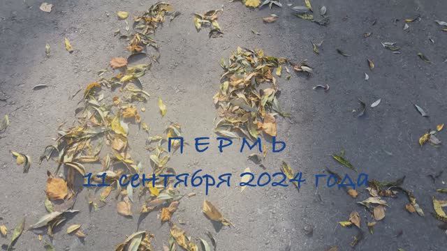 Пермь 11.09.2024
