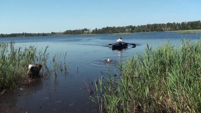 Набрал водички... смотреть онлайн