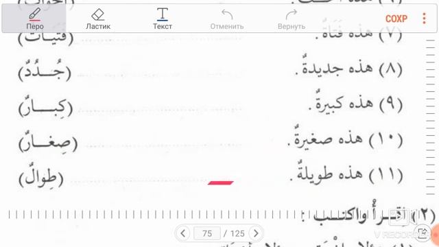 Мединский курс 1 том 13 урок ( Muhammad Abu Isa ) смотреть онлайн