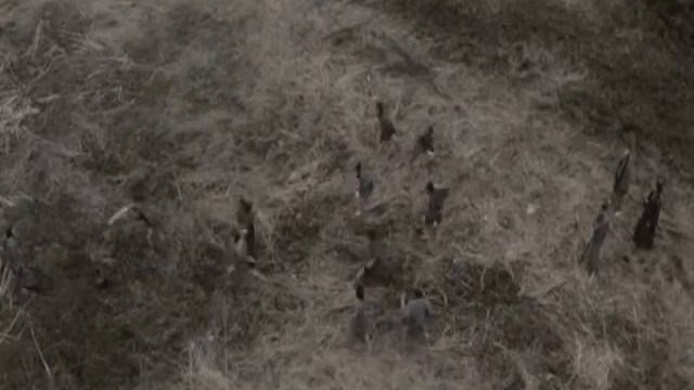 Zatoichi Feuer Frei Music Video