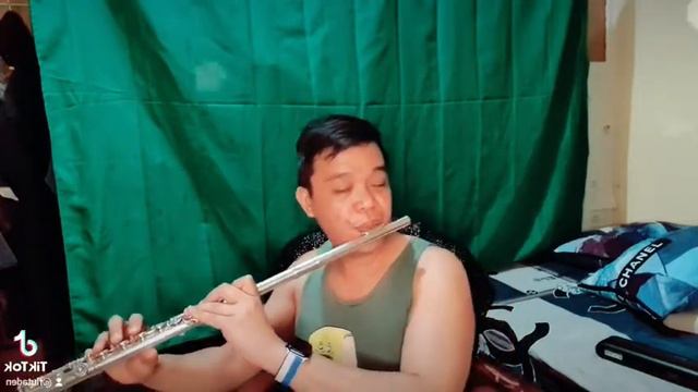 A Million Dreams from The Greatest Showman #flutecover смотреть онлайн