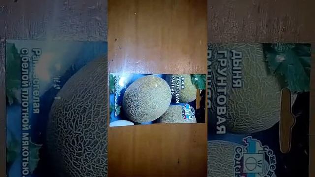 Дыня грунтовая ранняя ознакомление смотреть онлайн