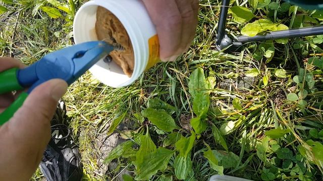 Catfish Stinky Bait смотреть онлайн