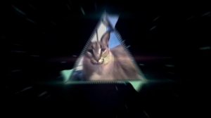 шлепа рекламирует пельмени | 1 час