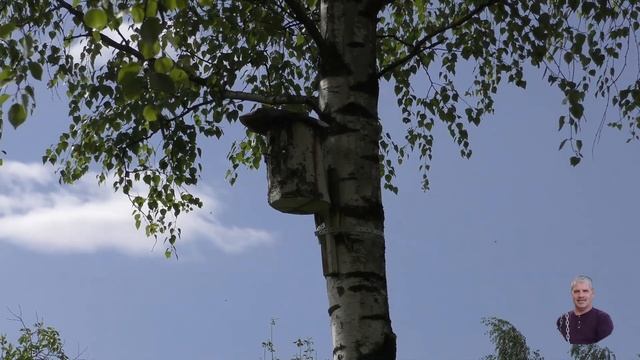 22. 05. 23 г. Огород. Синичники. смотреть онлайн