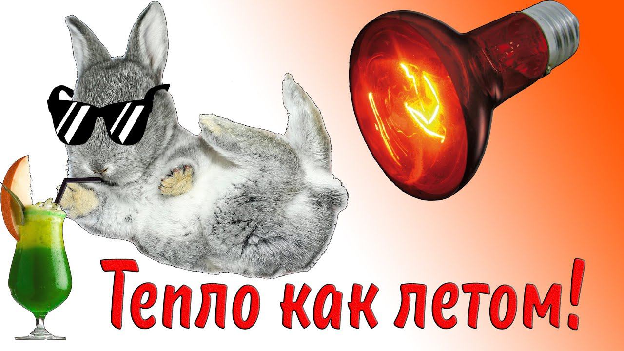Заработало отопление в крольчатнике смотреть онлайн