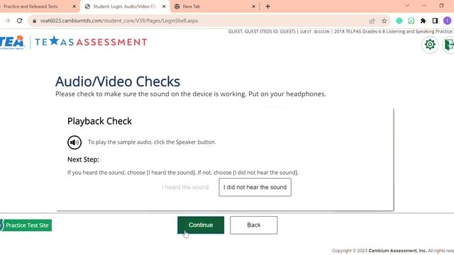 Practice and Released Tests Google Chrome 2023 10 01 14 44 24 смотреть онлайн