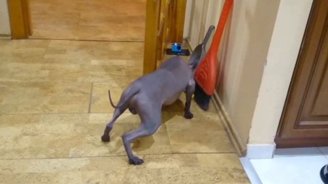 Первый враг Мартина