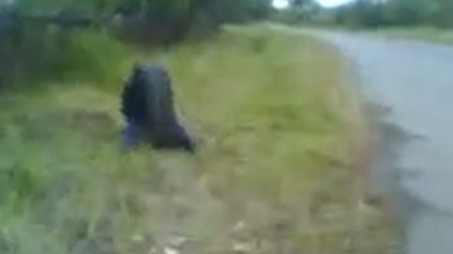 моноцикл смотреть онлайн