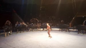 Супер цирк . Медведи на буйволах ! ТОТЕМ. Circus ! Bears on Buffalo