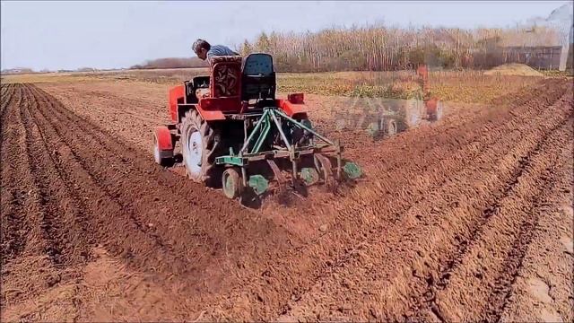 Трактор с ДВС "Москвич" посадка картошки под окучники Homemade tractor смотреть онлайн