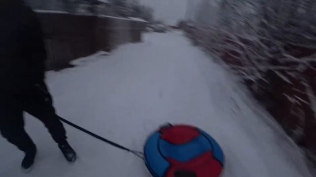 Покупаем шлейку и намордник для алабая. смотреть онлайн