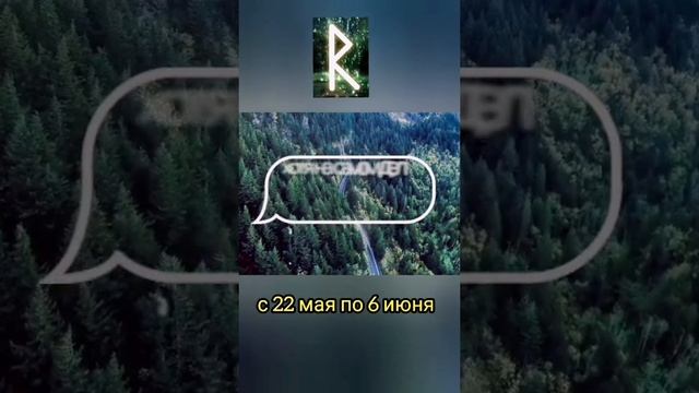 Рунический гороскоп по дате рождения. Райдо смотреть онлайн