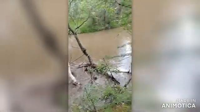 Кофейная река кисельные берега смотреть онлайн