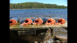 Едем в Карелию на рыбалку