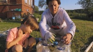 Ловушка для овода! Как избавиться от оводов и слепней в деревне на даче? Совет от Фермачей в деревн