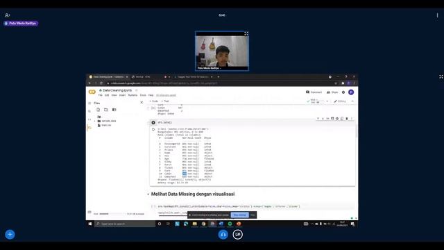 Webinar Data Cleaning With Python смотреть онлайн