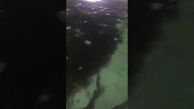 Большой осетр смотреть онлайн