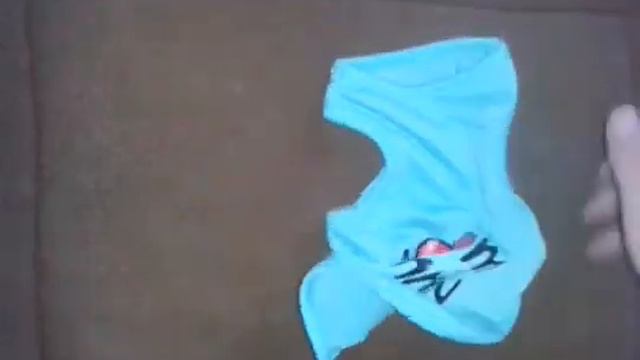 Одежда Фили #2. Йоркширский терьер смотреть онлайн