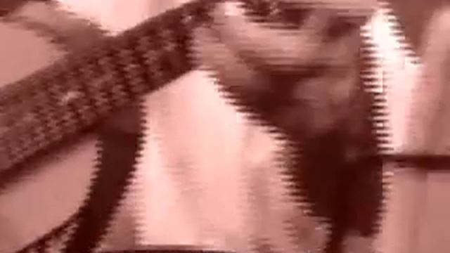 Mandolin Artist - Jacob Reuven смотреть онлайн