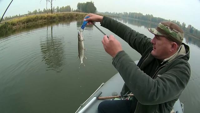Осенняя ловля щуки и окуня - удачная рыбалка смотреть онлайн