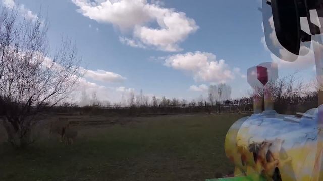 В Крыму 75 Львов вышли из вольеров! Парк львов Тайган. Крым 2017 смотреть онлайн