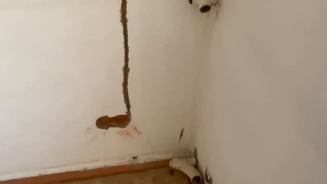 нет ДОБРА без худа в доме на Юге : узнал где в доме старая проводка