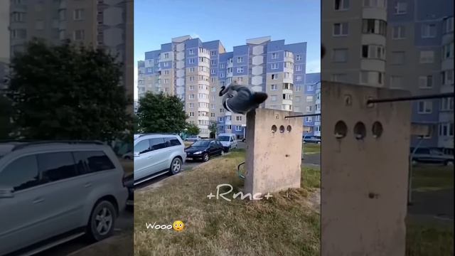 УДАЧНЫЕ МОМЕНТЫ смотреть онлайн