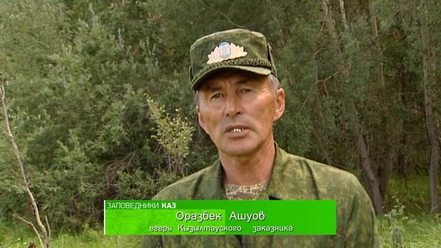 Баянаульский государственный национальный природный парк. Заповедники Казахстана смотреть онлайн