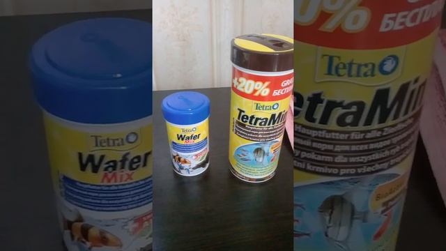 Что нужно для появления рыбки ГУППИ в доме? аквариумная рыбка гуппи смотреть онлайн