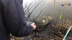 Рыбалка на Кубани. Осенняя ловля карпа и амура. /// Рыбалка на кубани 2021 /// Выпуск № 14