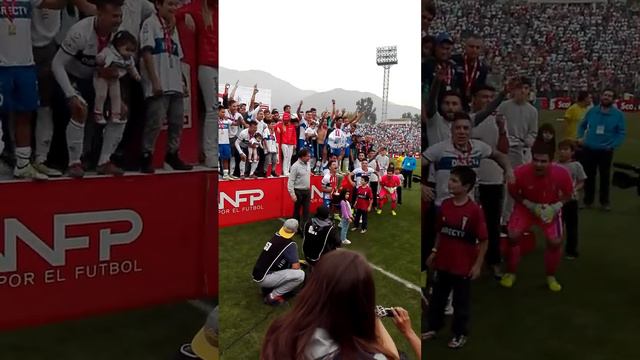 Cato Campeón 2016 смотреть онлайн