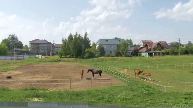 ЖК "ВЕРХНИЙ" 29 октября 2021г смотреть онлайн