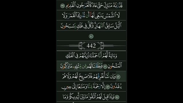 Surah Yasin. Listening to the Quran, we find healing from our illnesses . @alafasy смотреть онлайн