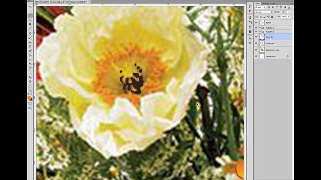 FLOWER DRAWING TUTORIAL in PHOTOSHOP! #photoshoptutorial #speedart Photoshopta çiçek çiz! смотреть онлайн