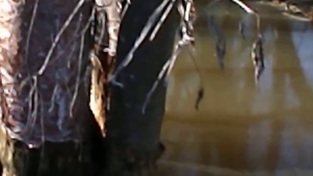 DSCN1002 смотреть онлайн