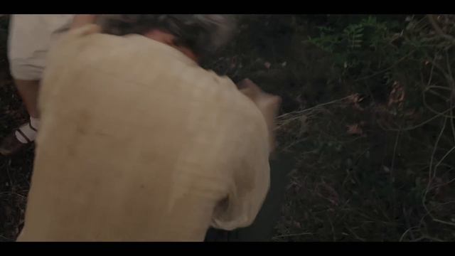 Lotus (2020) смотреть онлайн