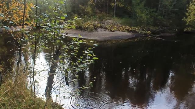 рыбалка на хариуса в Архангельской области 8 сентября 2019 смотреть онлайн