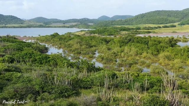 Нежная музыка, успокаивает нервную систему и радует душу - лечебная музыка для сердца и сосудов