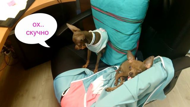 история о том как мы пришли к маме на работу смотреть онлайн