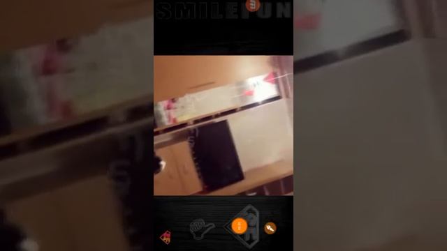 Смишные коты смотреть онлайн