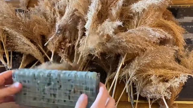 DIY TUTORIAL Pampas grass arrangement￼ centerpiece boho wedding decor #pampasgrass #backdrop смотреть онлайн