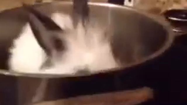 Best Tara Strong Vine Compilation 2015 - Funny Vines - World Vines Compilation